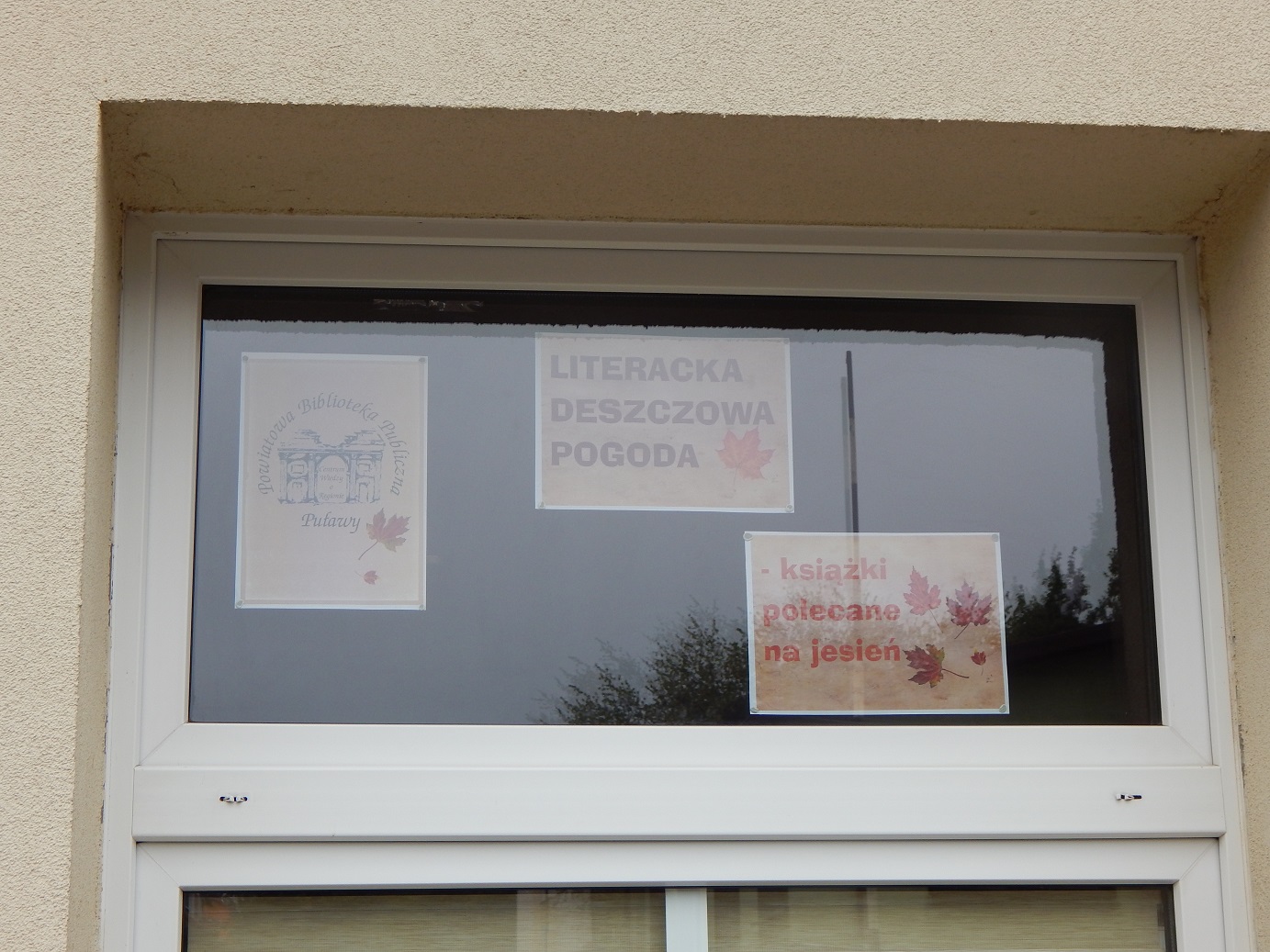 Zdjęcie prezentuje wystawę na oknach Powiatowej Biblioteki Publicznej w Puławach promującą  jesienne propozycje książkowe z wyrazem „deszcz” w tytule.