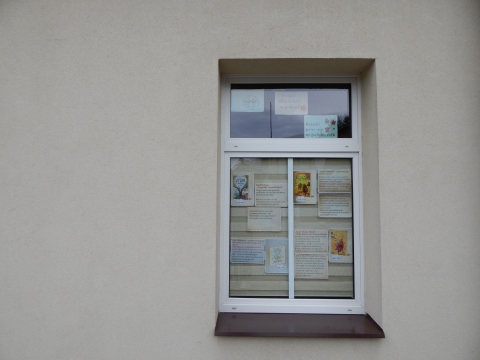Zdjęcie prezentuje wystawę na oknach Powiatowej Biblioteki Publicznej w Puławach prezentującą książki z zimową aura w tle.