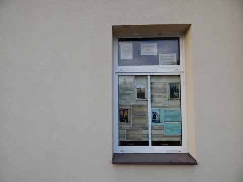 Zdjęcie prezentuje wystawę na oknach Powiatowej Biblioteki Publicznej w Puławach pt. „Książkowe hity z Netflixa”.