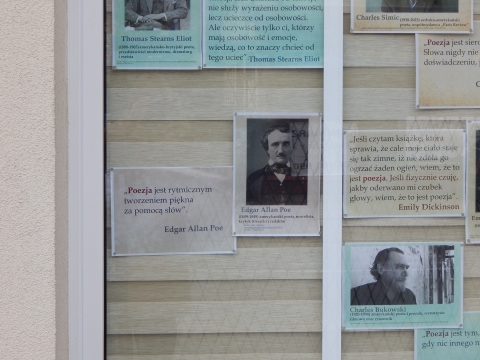 Zdjęcie prezentuje wystawę na oknach Powiatowej Biblioteki Publicznej w Puławach pokazującą różne definicje słowa poezja. 