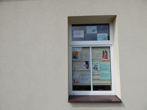 Zdjęcie prezentuje wystawę na oknach Powiatowej Biblioteki Publicznej w Puławach pt. „Książki z latem w tle”.