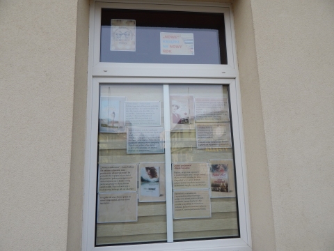 Zdjęcie prezentuje wystawę na oknach Powiatowej Biblioteki Publicznej w Puławach pokazującą najciekawsze książki z wyrazem „nowy” w tytule.