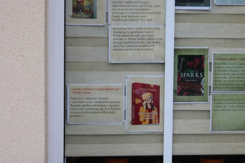 Zdjęcie prezentuje wystawę na oknach Powiatowej Biblioteki Publicznej, która promuje książki z jesienią w tytule. 