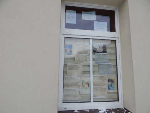 Zdjęcie prezentuje wystawę na oknach Powiatowej Biblioteki Publicznej w Puławach prezentującą książki z zimową aura w tle.