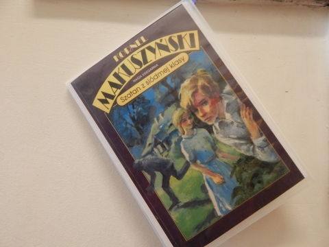 Zdjęcie prezentuje wystawę powieszoną na korytarzu przed biblioteką prezentującą różne okładki książek ze numerem tytule.