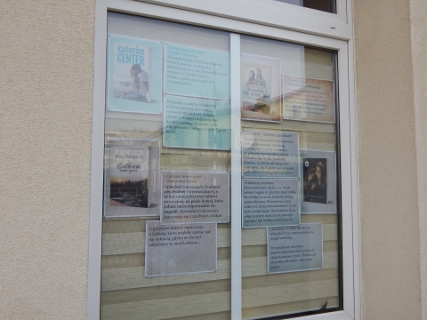 Zdjęcie prezentuje wystawę na oknach Powiatowej Biblioteki Publicznej w Puławach pokazującą najciekawsze książki z wyrazem „nowy” w tytule.