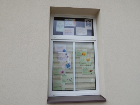 Wystawa na oknach biblioteki prezentująca wiersze o miłości Krzysztofa Kamila Baczyńskiego, Cypriana Kamila Norwida i Tadeusza Różewicza 