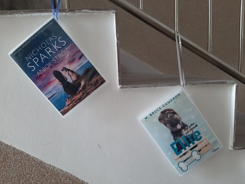 Zdjęcie prezentuje wystawę powieszoną na korytarzu przed biblioteką prezentującą różne okładki książek w których głównym bohaterem jest pies.