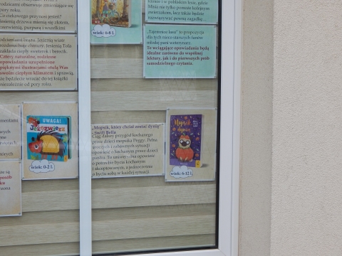 Zdjęcie prezentuje wystawę na oknach Powiatowej Biblioteki Publicznej w Puławach prezentującą książki dla dzieci, których akcja rozgrywa się w jesiennej scenerii.
