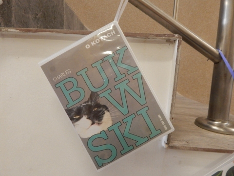 Zdjęcie prezentuje wystawę powieszoną na korytarzu przed biblioteką prezentującą różne okładki książek w których głównym bohaterem jest kot. 