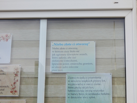 Wystawa na oknach biblioteki prezentująca wiersze o miłości Krzysztofa Kamila Baczyńskiego, Cypriana Kamila Norwida i Tadeusza Różewicza 