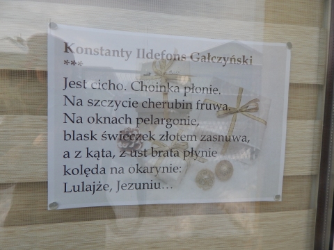 Zdjęcie prezentuje wystawę na oknach Powiatowej Biblioteki Publicznej w Puławach pokazującą najpiękniejsze wiersze o tematyce świątecznej polskich poetów. 