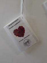 Zdjęcie prezentuje wystawę powieszoną na korytarzu przed biblioteką prezentującą różne okładki książek, których głównym tematem jest miłość. 