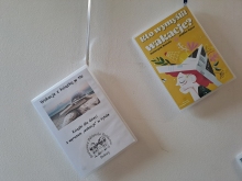 Zdjęcie prezentuje wystawę na oknach Powiatowej Biblioteki Publicznej w Puławach pokazującą książki, których akcja dzieje się nad morzem, w górach i na Mazurach.